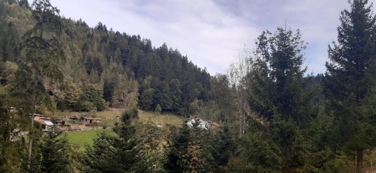 Le Montagnard Daire Gérardmer Dış mekan fotoğraf