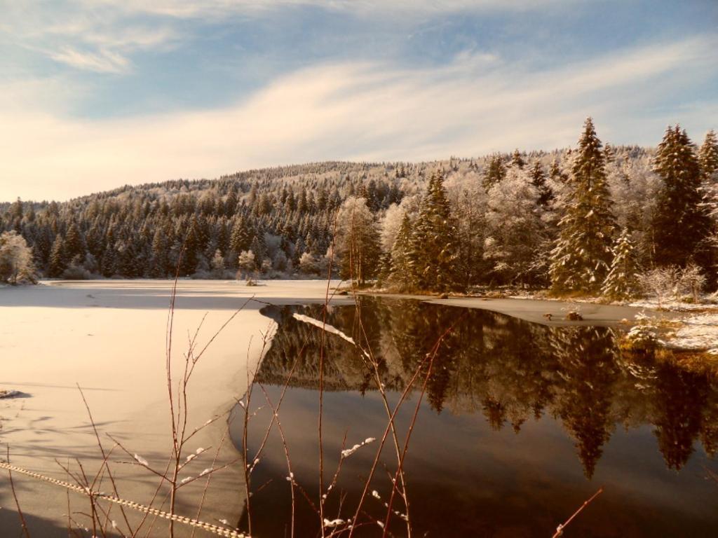 Le Montagnard Daire Gérardmer Dış mekan fotoğraf