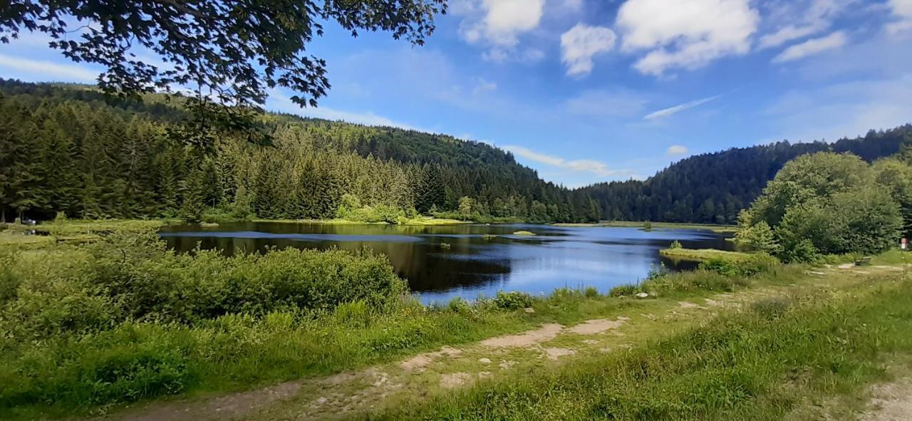 Le Montagnard Daire Gérardmer Dış mekan fotoğraf
