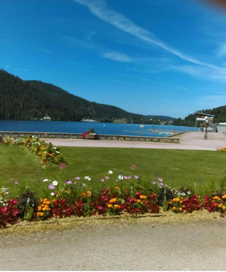 Le Montagnard Daire Gérardmer Dış mekan fotoğraf