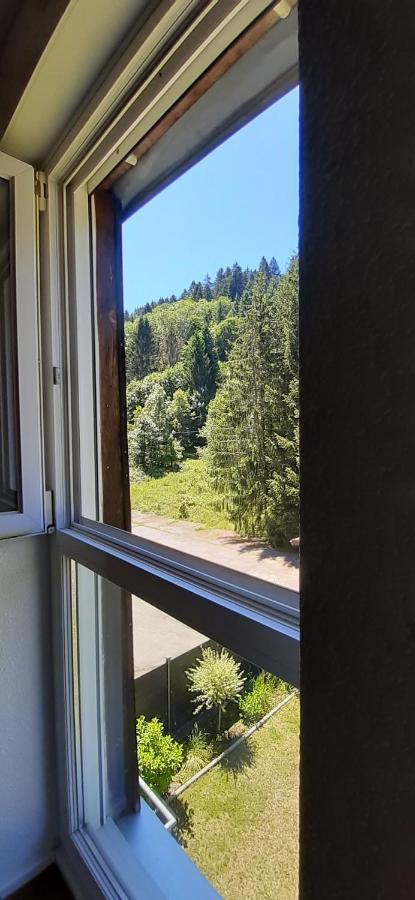 Le Montagnard Daire Gérardmer Dış mekan fotoğraf